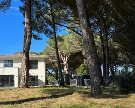酒店 Ariana Luxury With Heated Pool Cénac